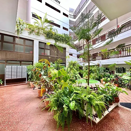 First Line Attic - Adults Only -