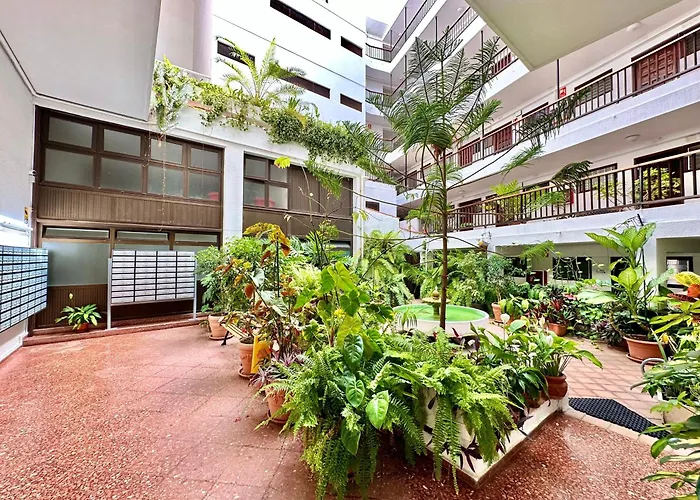 First Line Attic - Adults Only -