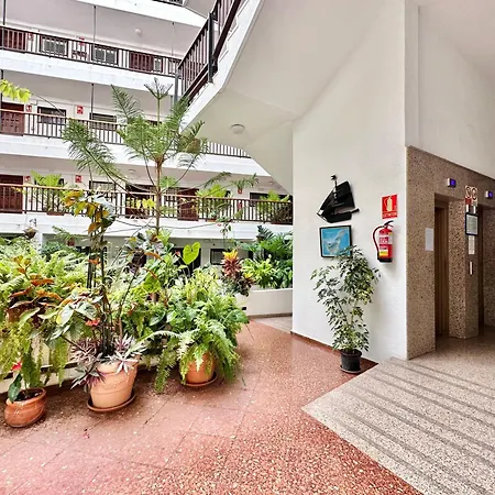 First Line Attic - Adults Only - * Puerto de la Cruz (Tenerife)